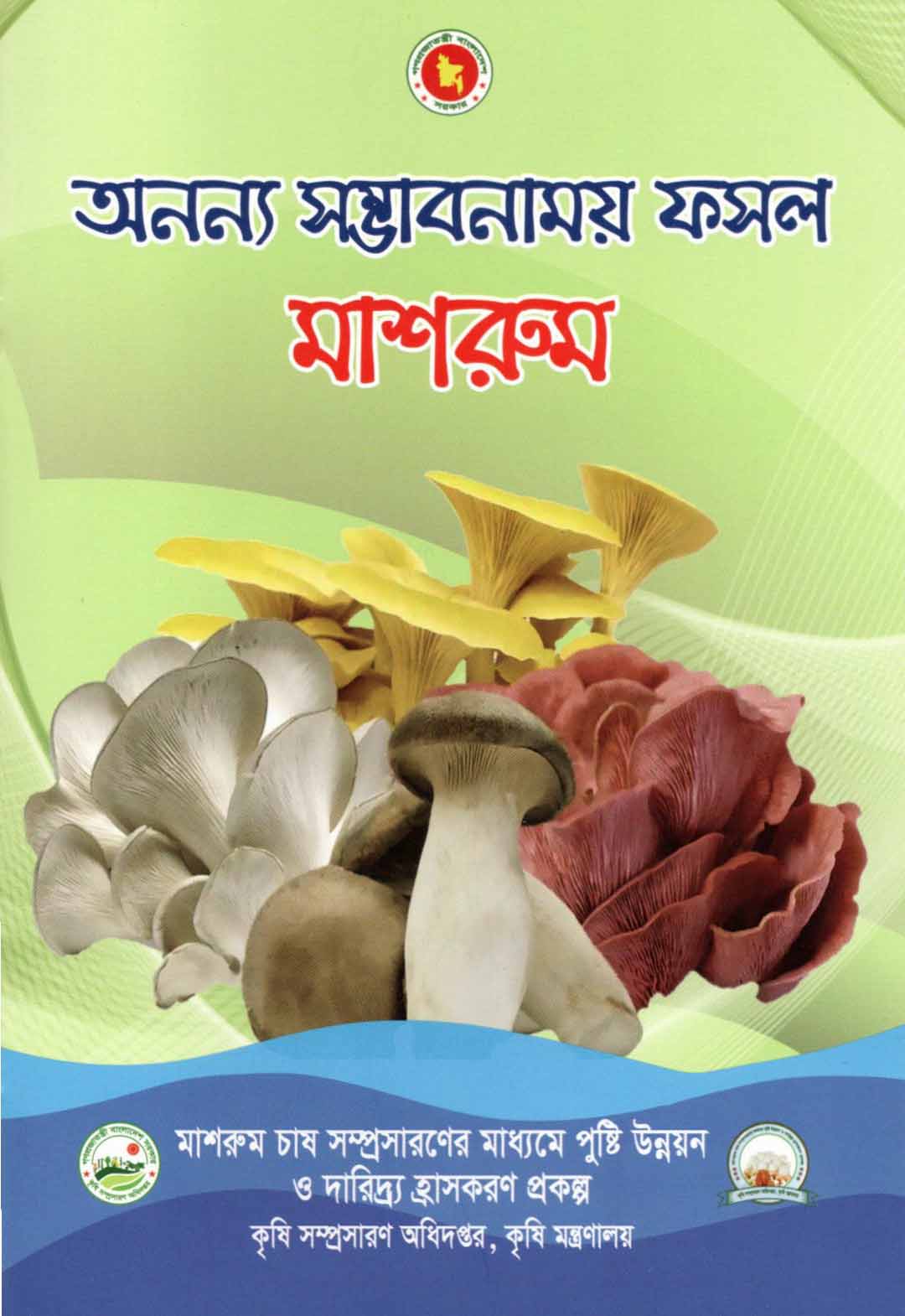 Image Gallery